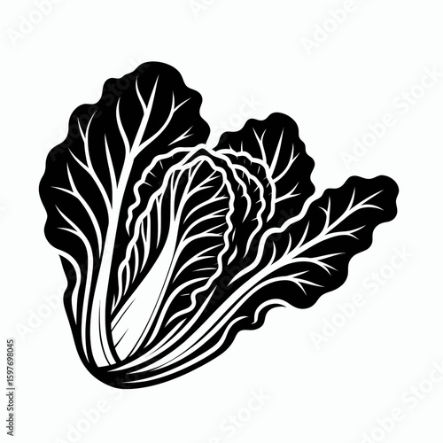 Chinese cabbage. Cartoon Minimal Logo Clipart Silhouette Vector Line Art Illustration. Asian cooking ingredient learn about napa a leafy veggie for good nutrition.