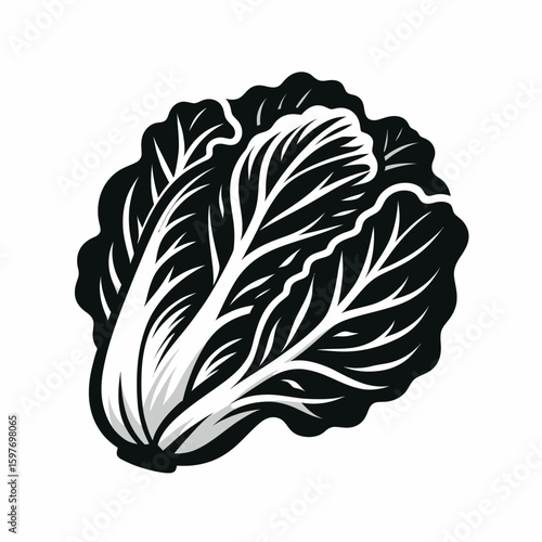 Chinese cabbage. Cartoon Minimal Logo Clipart Silhouette Vector Line Art Illustration. Oriental leaf vegetable learn benefit prepare meal with napa raw ingredient.