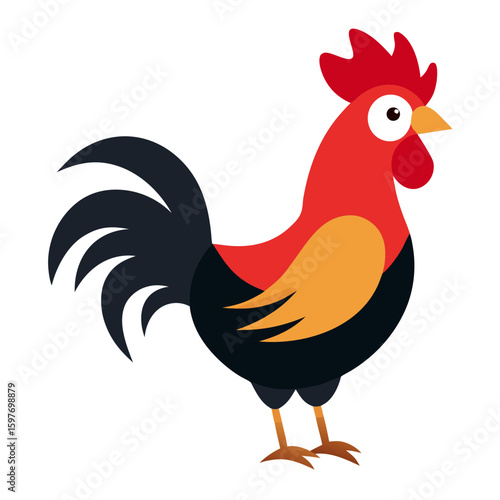 Rooster