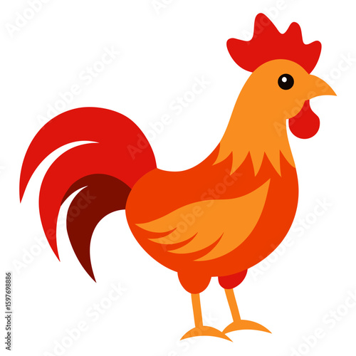 Rooster