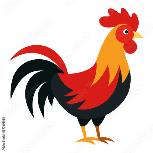 Rooster