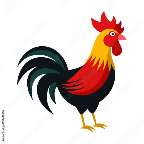Rooster