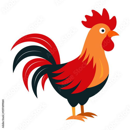 Rooster
