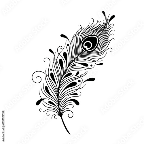 Illustration of a peacock feather with intricate details in black and white