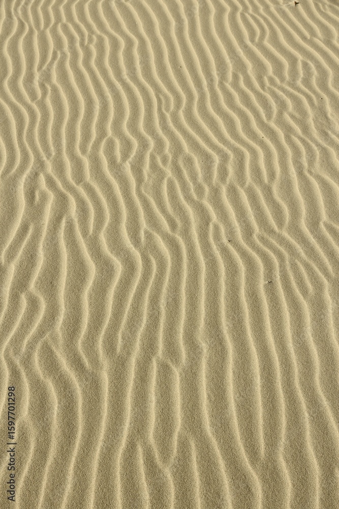 Beach sand background from Baltic Sea, Poland Beach sand background from Baltic Sea, Poland