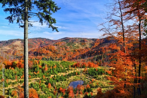 Fototapeta Naklejka Na Ścianę i Meble -  Fall colors in Beskidy mountains, Poland