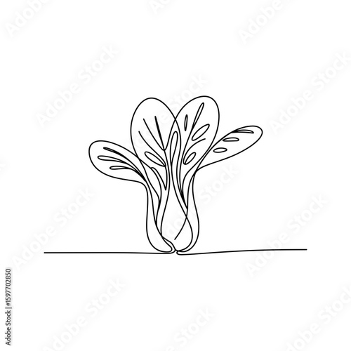 Simple spinach leaves sprouting from soil, hand drawn farm plant vector illustration