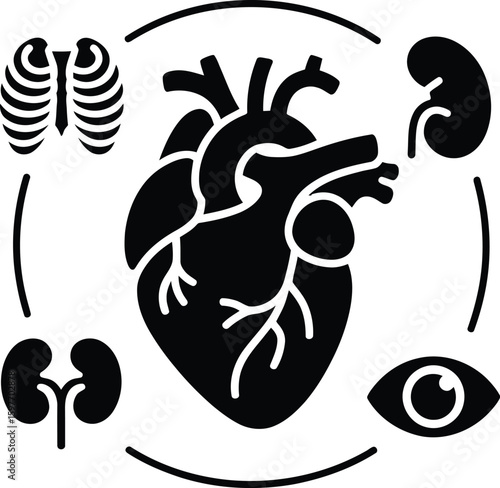 Black and white illustration of a heart surrounded by other human organs icon