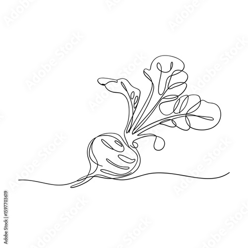 Fresh radish with leafy top in minimal continuous line style, healthy vegetable root vector illustration