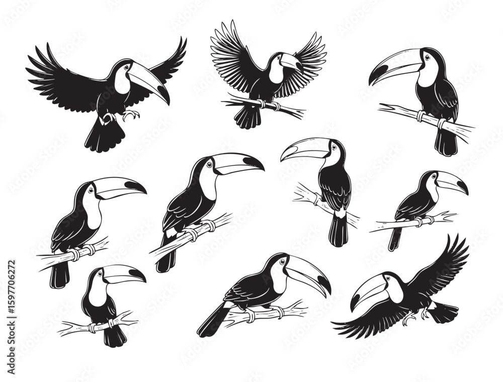 Fototapeta premium Vibrant vector illustrations of toucans in various poses, showcasing their iconic beaks, great for tropical themes. Birds.