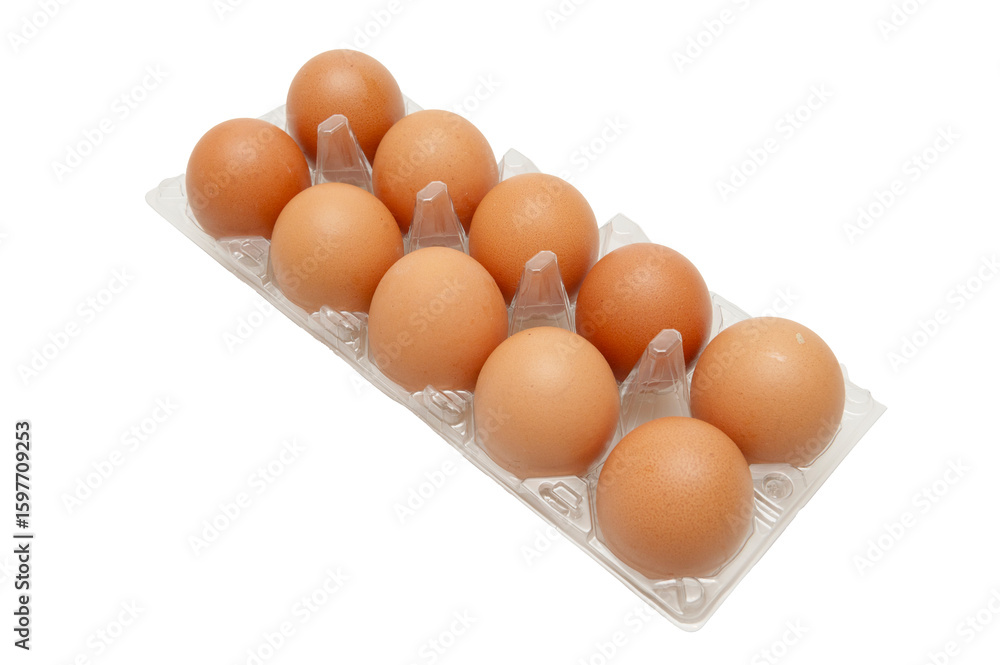 Brown Chicken Eggs in Plastic Carton Tray Brown Chicken Eggs in Plastic Carton Tray