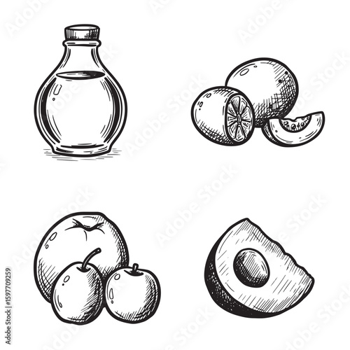 Hand drawn vector illustrations of fruits bottle and avocado perfect for healthy food graphics