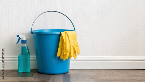 Cleaning equipment for the house. bucket and mop
