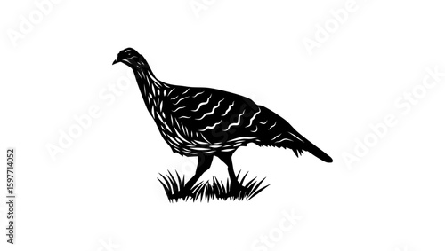 Malleefowl bird, black isolated silhouette