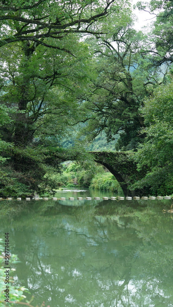 Obraz premium One old traditional Chinese village view with the old arched stone bridge in the Southern countryside of the China