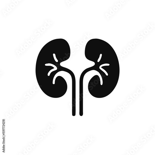 kidneys vector icon isolated on white