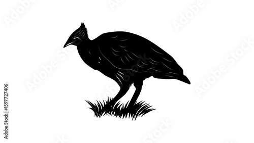 Orange-footed Megapode bird, black isolated silhouette