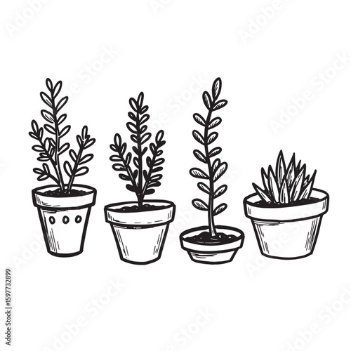 Hand drawn black and white illustration of houseplants in pots