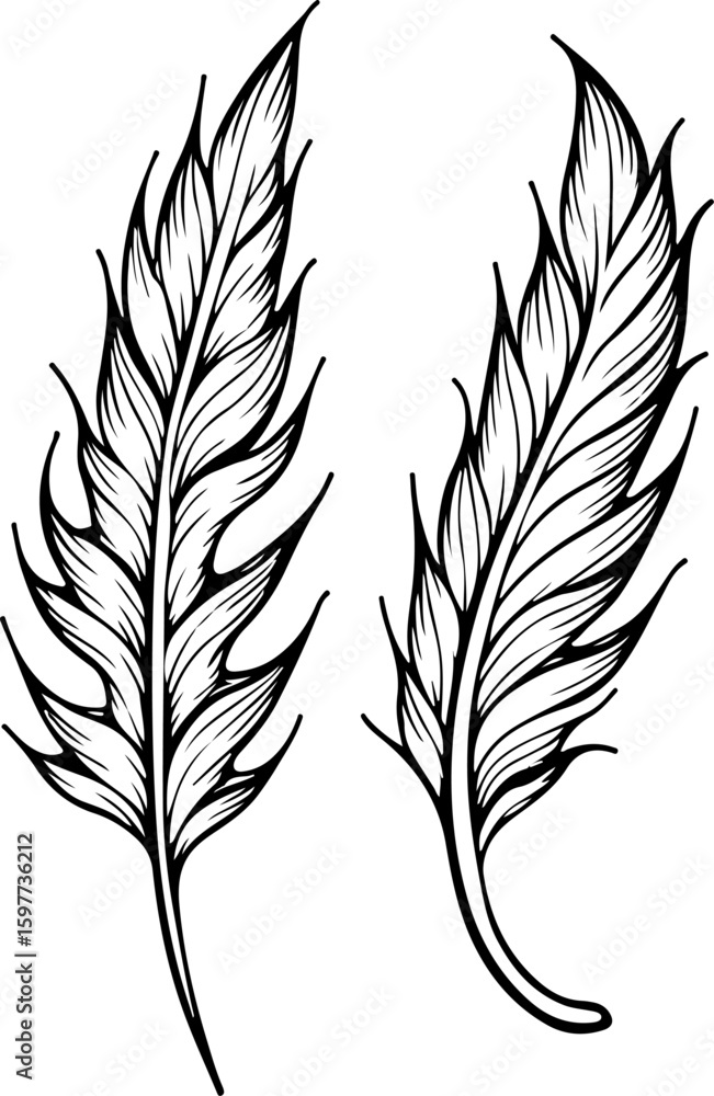 Obraz premium Ornate Feather Silhouette Design