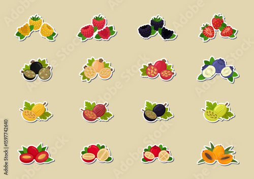 Berries flat design - fruit stickers. Vector illustrations. Fruit set