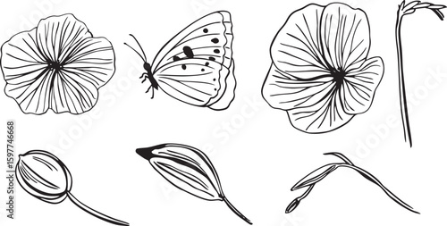 Flax flowers buds herbs butterfly hand drawing line art set. Flower bud drawn by graphics in vector. For interior print decoration, postcard, fabric, sketchbook cover, design.