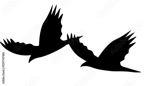 Canvas Print Two birds flying together in silhouette with synchronized wings