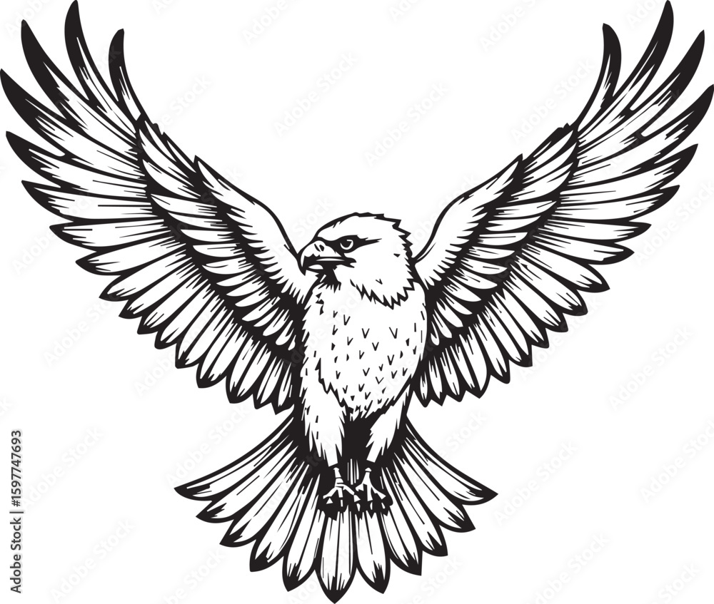 Fototapeta premium soaring eagle: A majestic eagle, its wings wide, drawn in a bold black and white, ready for flight. the illustration captures the bird's power and grace.