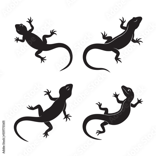 lizard crawling silhouette set bundle on white background
