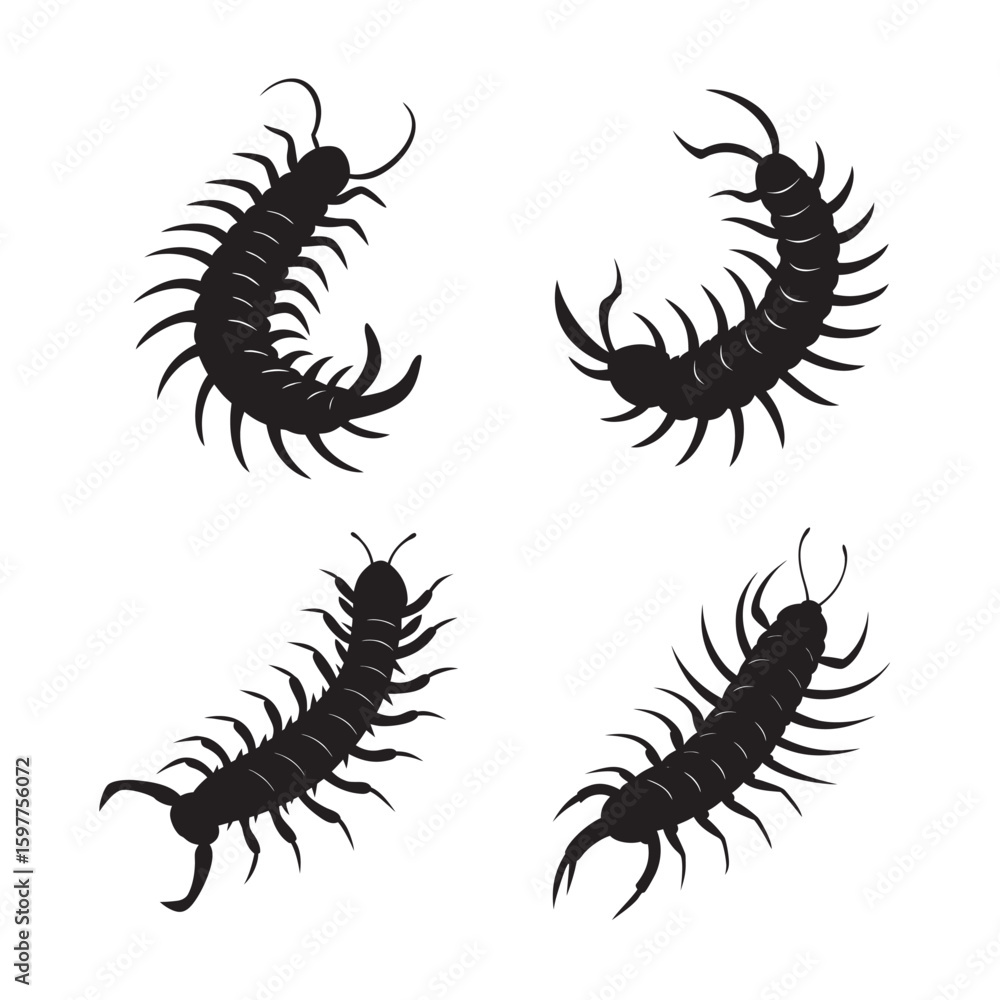 Obraz premium curled giant centipede silhouette set bundle
