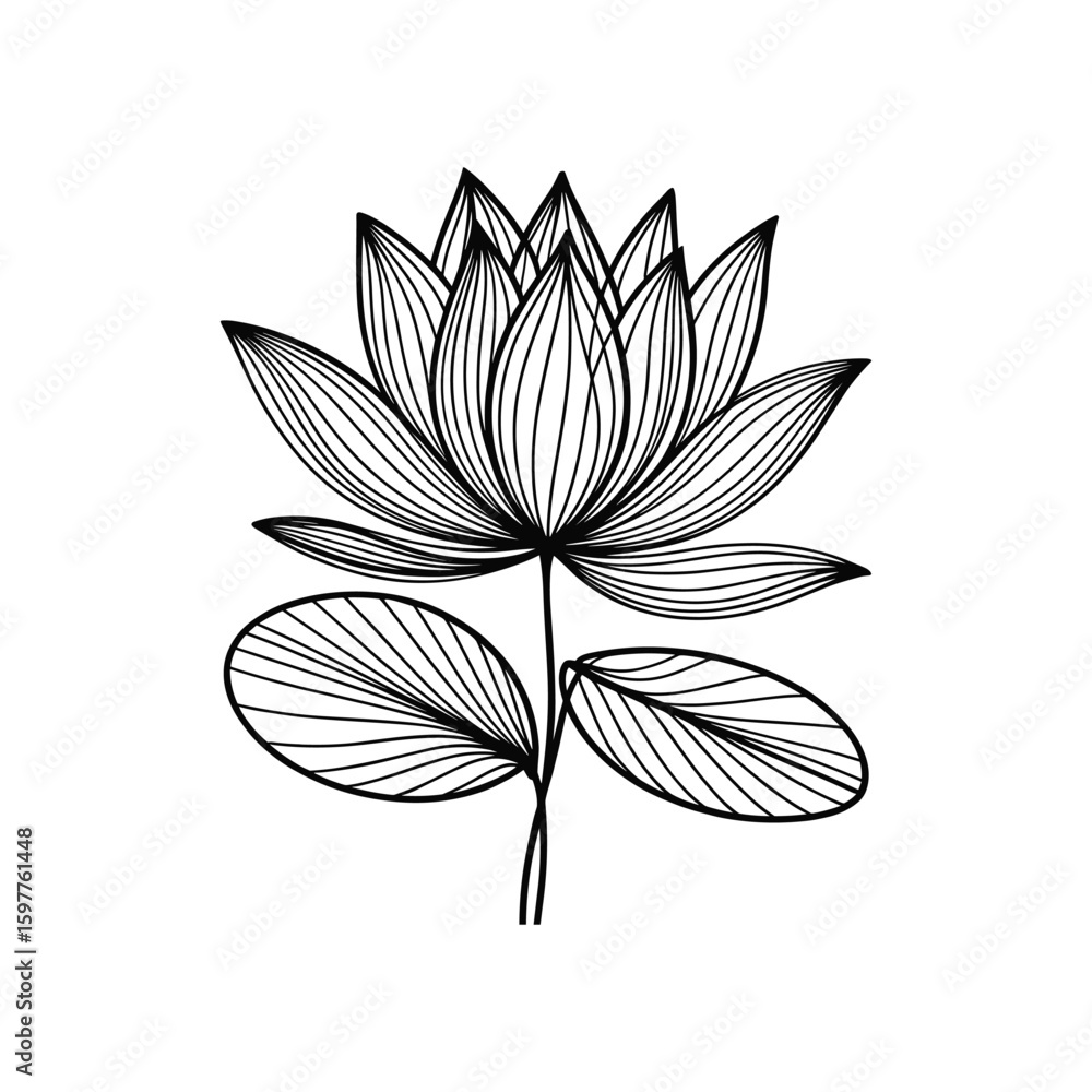 Fototapeta premium Delicate black lotus flower with leaves bloom petals