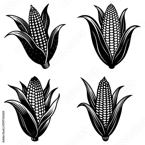 Four monochrome corn cobs with husks in varying orientations on a white background illustration art