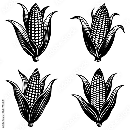 Four graphic corn cobs with husks in black and white vector illustration, isolated on white background