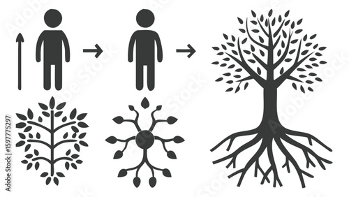 Human Growth and Transformation A Symbolic Journey from Upward Movement to Rooted Tree with Connectedness Portrayed Metaphorically