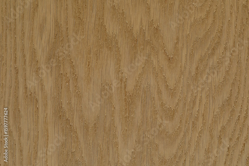 High-resolution image of li...