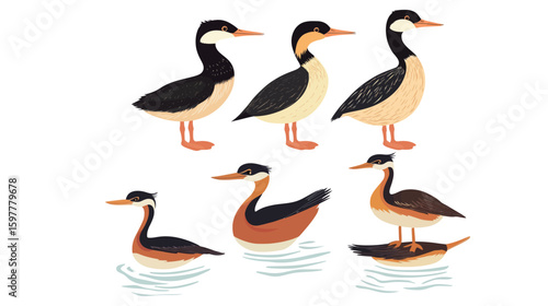 Set of grebe bird silhouettes in various poses, featuring streamlined bodies and distinctive head shapes, perfect for wildlife, waterfowl, nature, birdwatching, and animal vector design concepts 