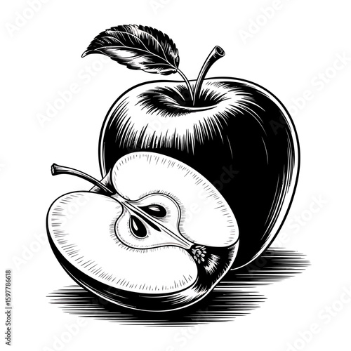 Detailed Black and White Line Art Illustration Apple Halved, Showcasing the Core