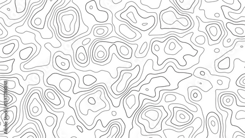 Irregular Black and White Contour Line Pattern Background