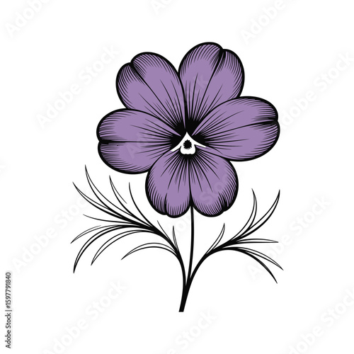 Purple pansy flower with black stem and leaves bloom botanical