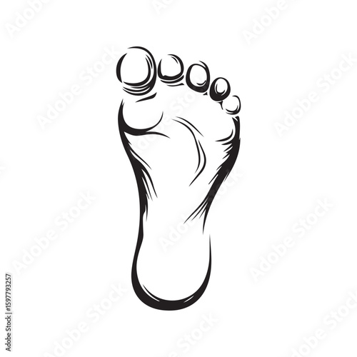 Vector illustration of human footprints or bare feet. Ideal for use in health and wellness designs, spa or reflexology icons, environmental campaigns, footprint tracking, or anatomy-related project