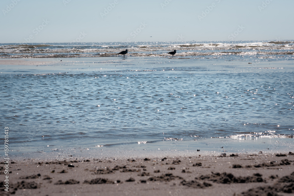 Beach Morning Beach Morning