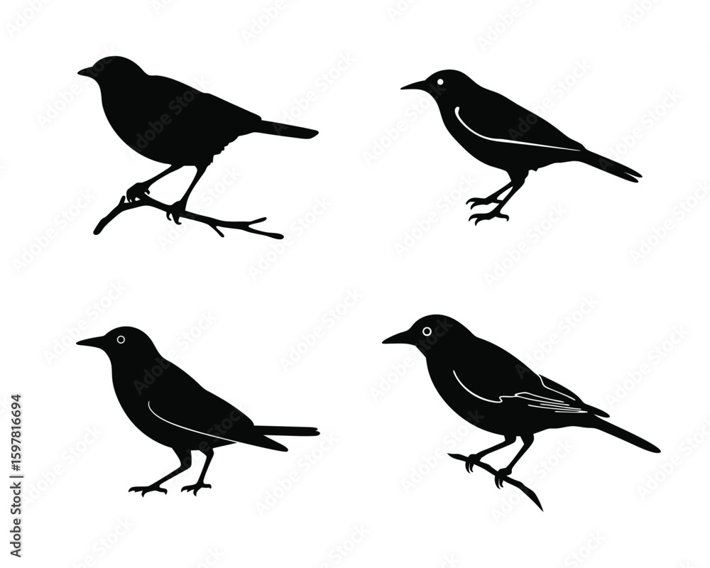 Obraz premium Collection of four black bird silhouettes two perched on branches vector illustration