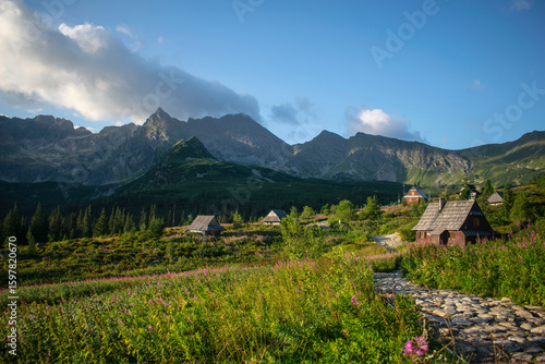 A view of the beautiful and picturesque caterpillar hall ( hala gąsienicowa )