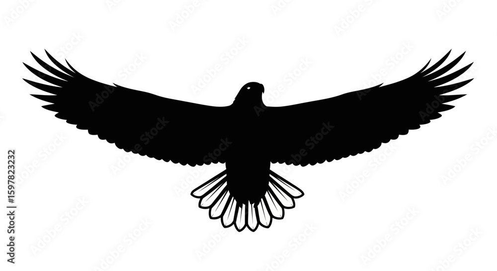 Obraz premium Majestic Eagle Soaring with Wings Fully Extended