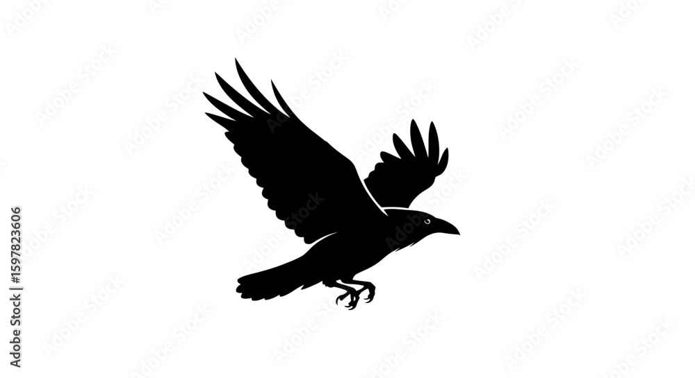 Fototapeta premium Raven Flying with Beak Pointing Forward