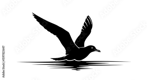 Seabird Gliding Above Water Silhouette