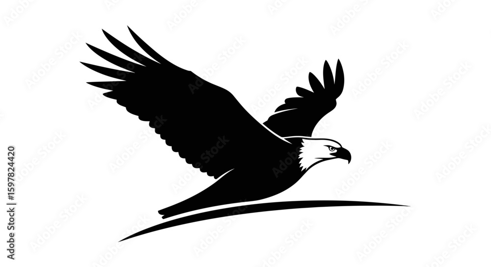 Fototapeta premium Eagle Soaring Gracefully on Air Current