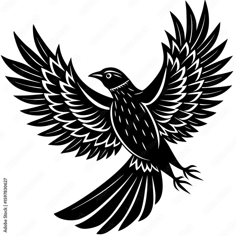 Obraz premium Black Silhouette of Soaring Bird in Flight