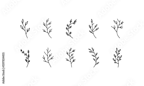Botanical Elements for Branding. A curated set of minimalist plant illustrations designed for logos, packaging, and identity systems.