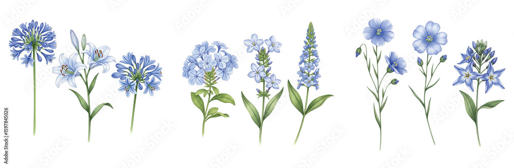 Obraz premium Serene Watercolor Collection of Blue Agapanthus, Lilies, Phlox, and Flax Flowers, Perfect for Tranquil Floral and Botanical Designs