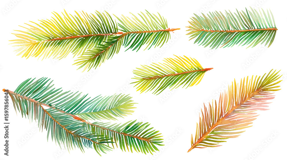 Naklejka premium Spruce Needle Collection in Watercolor with Vivid Green Shades and Fine Detailing, with Transparent Background
